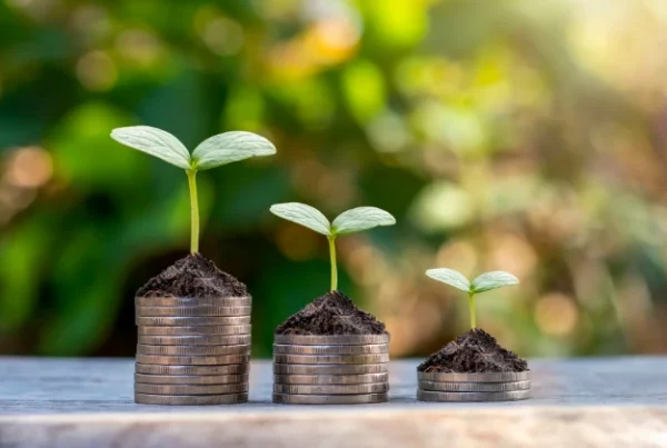 Le chauffage économique et écologique